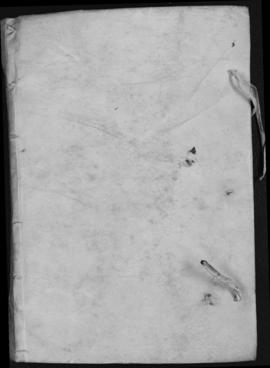 Protocolo de Luís Minguini y Salelles